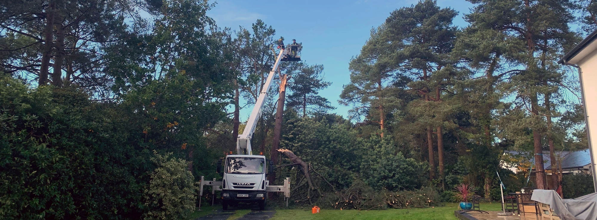 Mark Hooper Tree Care Dorset