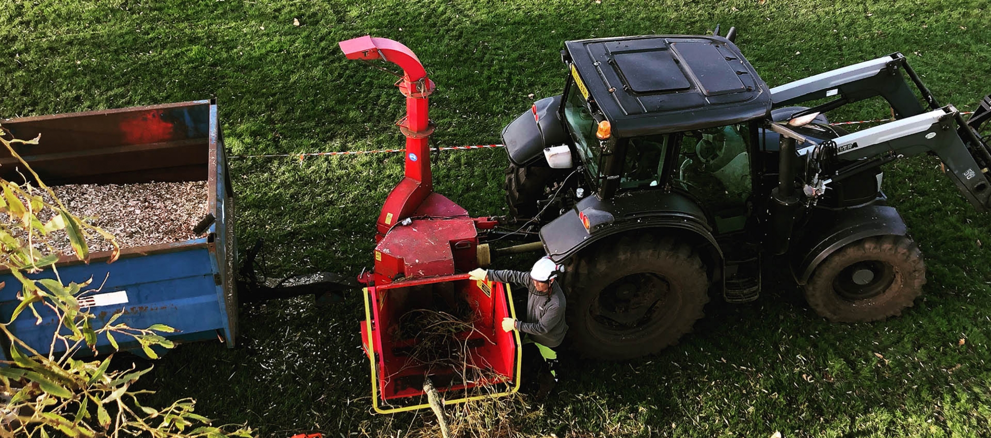 Commercial & domestic tree surgery Dorset