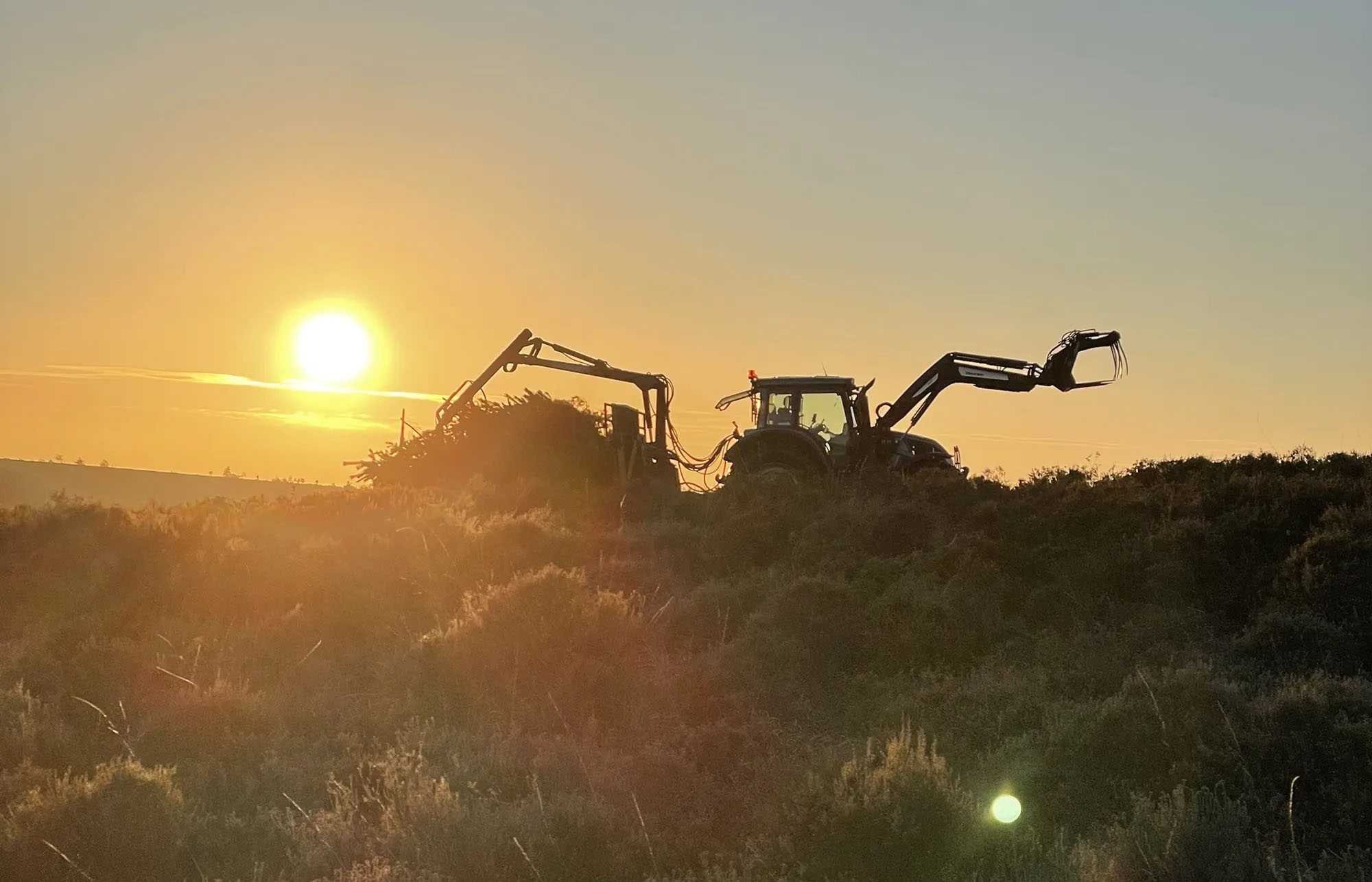 Gallery of our recent projects