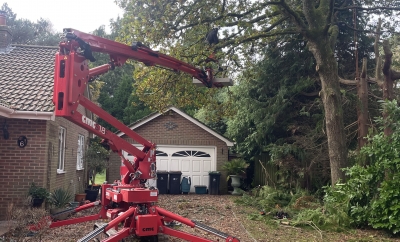Mark Hooper Tree Care Acquires New MEWP