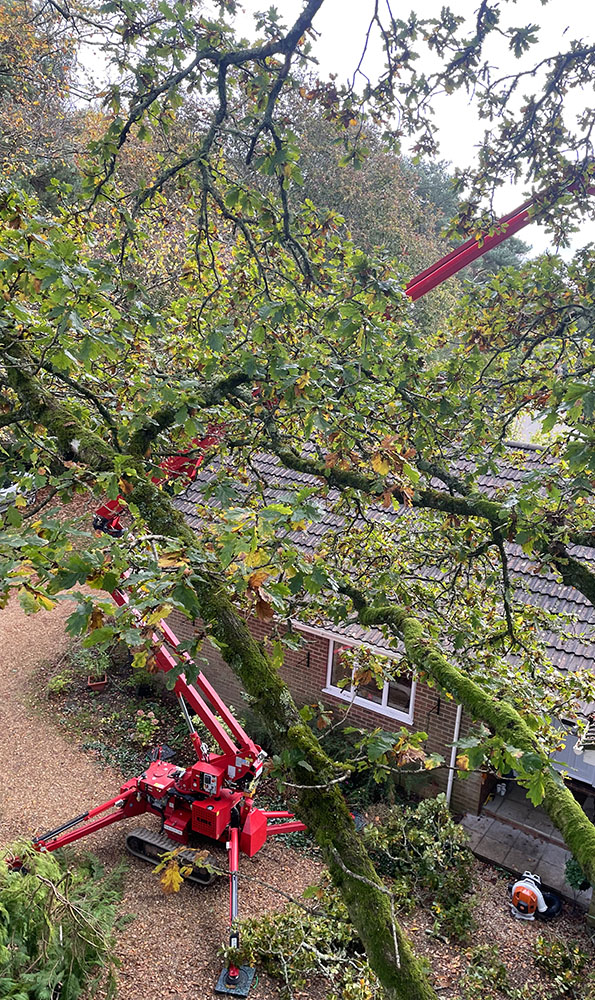 Mobile Elevating Work Platform